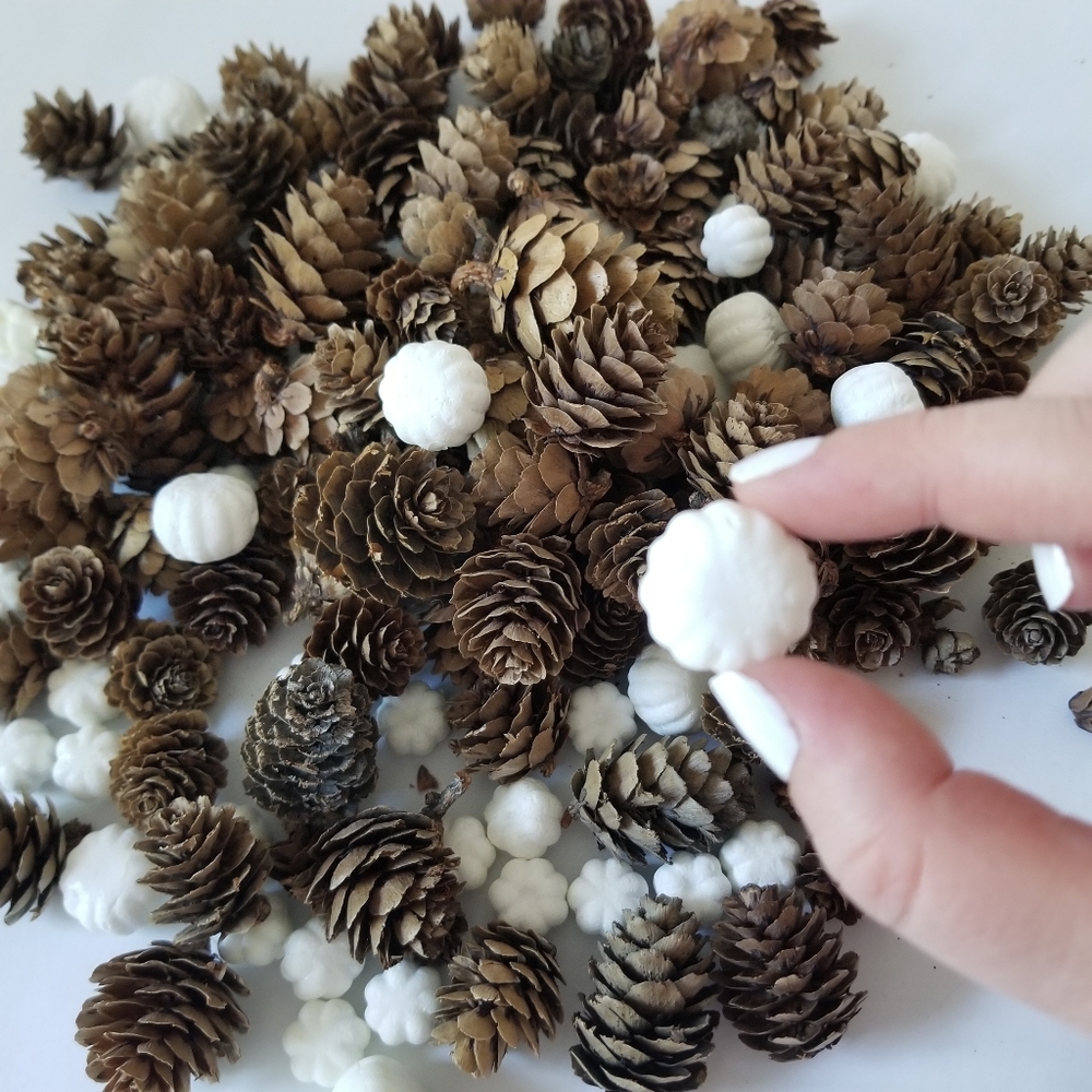 Mini Pinecones & Mini Pumpkins - Picture 2 of 5